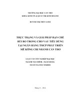 thực trạng và giải pháp hạn chế rủi ro trong cho vay tiêu dùng tại ngân hàng tmcp phát triển mê kông chi nhánh cần thơ