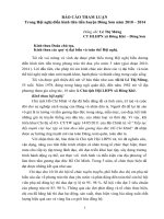 Báo cáo tham luận tại HN điển hình tiên tiến 5 năm huyện ĐS của Đồng chí Chủ tịch hội phụ nữ xã