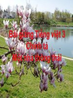 Bài giảng tiếng việt 3 tuần 22 bài chính tả   nghe   viết một nhà thông thái, phân biệt rdgi, ươtươc 