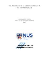 THE IMPORTANCE OF AN ALLOSTERIC POCKET IN THE DENGUE PROTEASE 