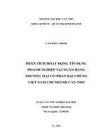 phân tích hoạt động tín dụng doanh nghiệp tại ngân hàng thương mại cổ phần đại chúng việt nam chi nhánh cần thơ