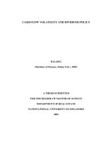 Cash flow volatility and dividend policy