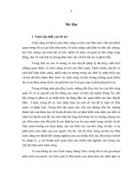 Chức năng xã hội của Nhà nước Cộng hòa xã hội chủ nghĩa Việt Nam