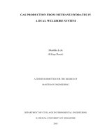 GAS PRODUCTION FROM METHANE HYDRATES IN a DUAL WELLBORE SYSTEM 