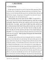 SKKN một số kỹ năng tổ chức dạy học theo nhóm mô hình trường học mới VNEN 