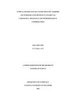 Clinical significance of cancer stem cell markers and other related proteins in colorectal carcinomas   biological and methodological considerations