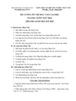 ĐỀ CƯƠNG ÔN THI ĐẦU VÀO CAO HỌC NGÀNH : NGÔN NGỮ HỌC MÔN THI: CƠ SỞ VIỆT NGỮ HỌC