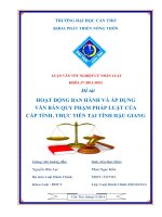 hoạt động ban hành và áp dụng văn bản quy phạm pháp luật của cấp tỉnh, thực tiễn tại tỉnh hậu giang