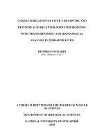 Characterization of liver x receptor  and retinoid acid receptor mediated response with transcriptome and histological analysis in zebrafish liver