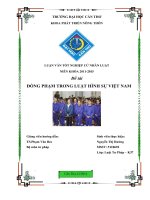 đồng phạm trong luật hình sự việt nam