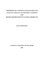 Chemistry of calophyllum wallichianum, scapania undulata, plagiochila colorans and biotransformation of natural products