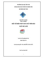 một số biện pháp chơi chữ trên báo tuổi trẻ cười