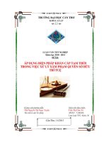 áp dụng biện pháp khẩn cấp tạm thời trong việc  xử lý xâm phạm quyền sở hữu trí tuệ