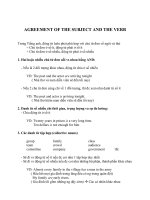 Sự hòa hợp giữa chủ ngữ và động từ trong tiếng anh 
