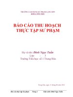 Báo cáo thực tập sư phạm
