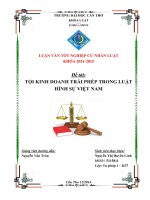 tội kinh doanh trái phép trong luật hình sự việt nam