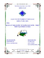 quản lý nhà nước về nuôi con nuôi – thực tiễn tại tỉnh cà mau