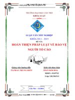 hoàn thiện pháp luật về bảo vệ người tố cáo