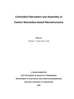 Controlled fabrication and assembly of carbon nanotubes based nanostructures