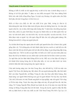 Thuyết minh về chiếc áo dài việt nam 