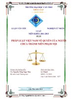 pháp luật việt nam về quyền của người chưa thành niên phạm tội