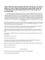 Sự giàu đẹp của tiếng Việt.