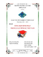 tổng hợp hình phạt trong luật hình sự việt nam