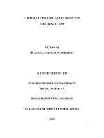 Corporate income tax evasion and efficiency loss