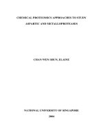 Chemical proteomics approaches to study aspartic and metalloproteases