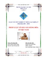 pháp luật về đấu giá hàng hóa ở việt nam