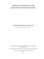 Corporate environmental risk management and the cost of debt