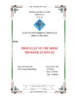 pháp luật về chủ động thi hành án dân sự