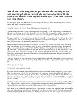 Bình luận về tinh thần dũng cảm.