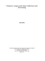 Large scale data collection and processing