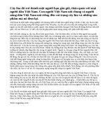 Cây lúa trong đời sống người Việt Nam