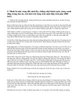 Thuyết minh về một miền đất giàu tiềm năng của đất nước ta: Rừng U Minh.