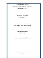 đặc điểm thơ tương phố