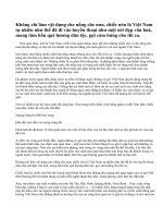 Nón lá Việt Nam.