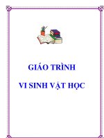 giáo trình VSV đại cương
