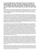 Cây lúa trong đời sống người Việt Nam ( Bài 3 )