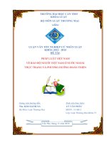 pháp luật việt nam về bảo hộ người việt nam ở nước ngoài thực trạng và phương hướng hoàn thiện