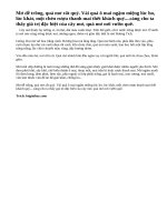 Thuyết minh về cây mơ, quả mơ.