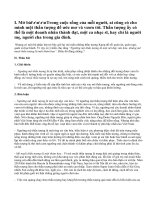 Ngưỡng mộ thần tượng là một nét đẹp văn hóa, nhưng mê muội thần tượng là một thảm họa