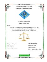 người bị thiệt hại do tội phạm gây ra trong tố tụng hình sự việt nam