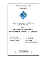 điều kiện bảo hộ nhãn hiệu theo quy định của pháp luật việt nam