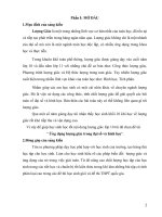 SKKN ứng dụng lượng giác trong đại số và hình học ở THPT 