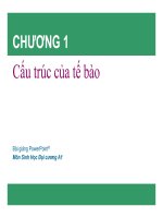 bài giảng sinh đại cương A1
