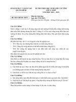 đề thi học sinh giỏi tỉnh quảng bình (2012 2013) 