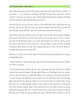 Thuyết minh về chiếc bút bi 