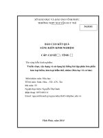 SKKN tuyển chọn, xây dựng và sử dụng hệ thống bài tập phân hóa phần kim loại kiềm, kim loại kiềm thổ, nhôm (hóa học 12 cơ bản)